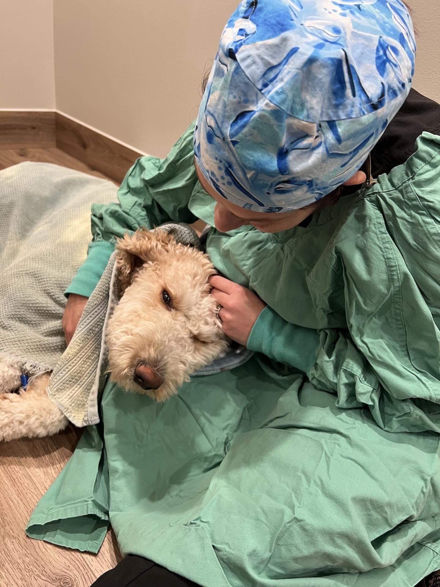 Dr. Denney Comforts Dog Out Of Surgery