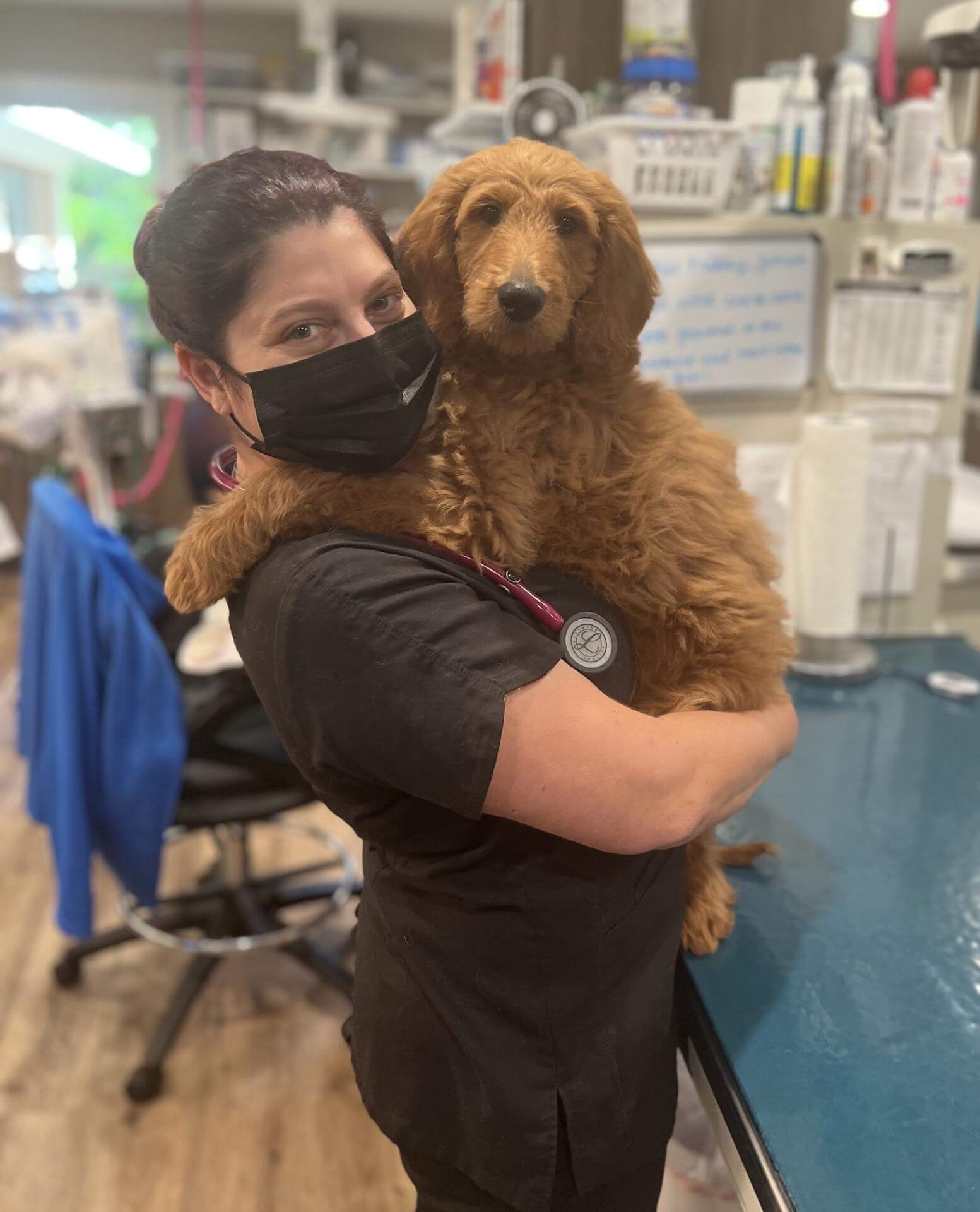 Dr. Denney Holding Doodle Puppy