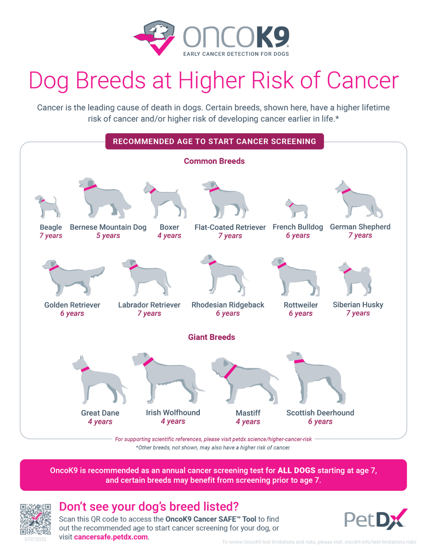 OncoK9 Recommended Screening Dog Cancer