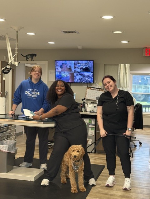 Dog Vaccines