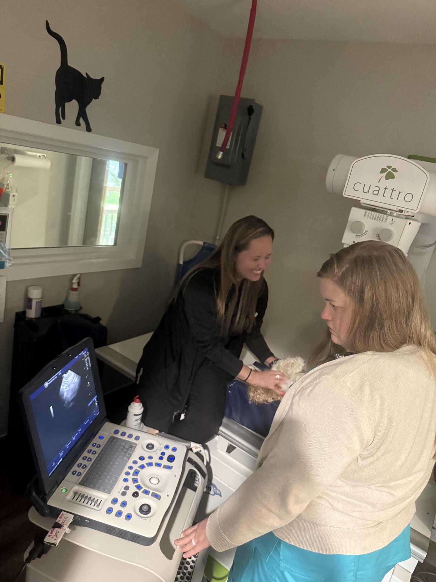 Ultrasound