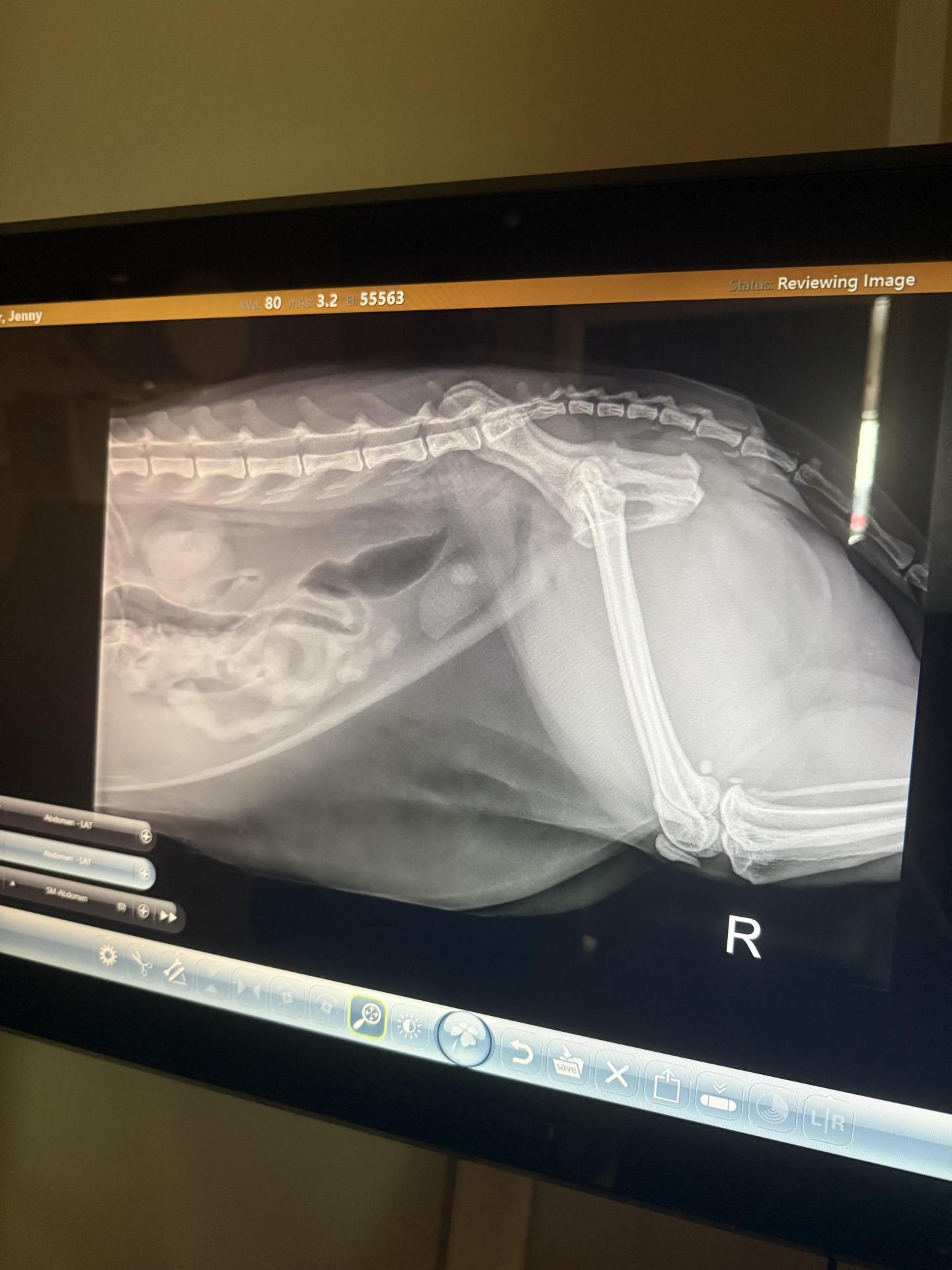 Diagnostic Images