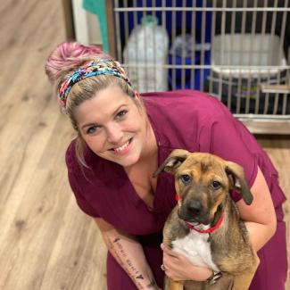 Four Paws at Fulshear Veterinary Clinic: Top Rated Fulshear Veterinarians Four Paws at Fulshear Veterinary Clinic: Top Rated Fulshear Veterinarians