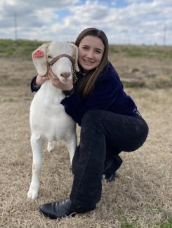 Four Paws at Fulshear Veterinary Clinic: Top Rated Fulshear Veterinarians Four Paws at Fulshear Veterinary Clinic: Top Rated Fulshear Veterinarians