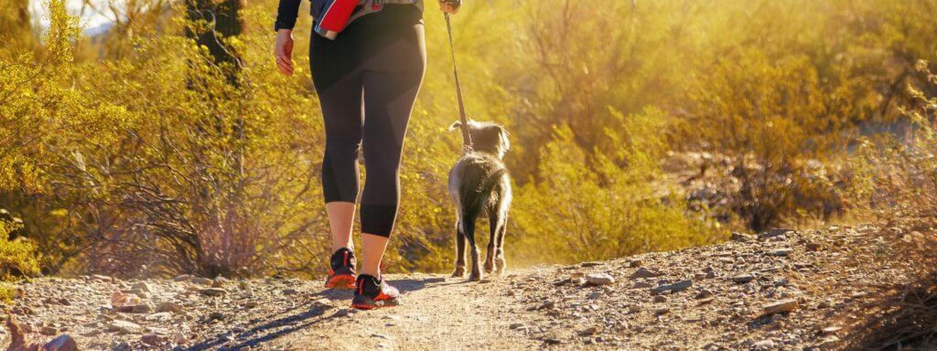 A woman walking her dog outside in Arizona